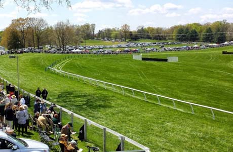 Middleburg Spring Races -Festival Middleburg Taxi - Special Events