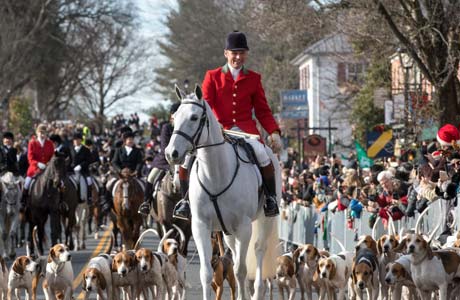 Middleburg Taxi -Festival Middleburg Taxi - Special Events