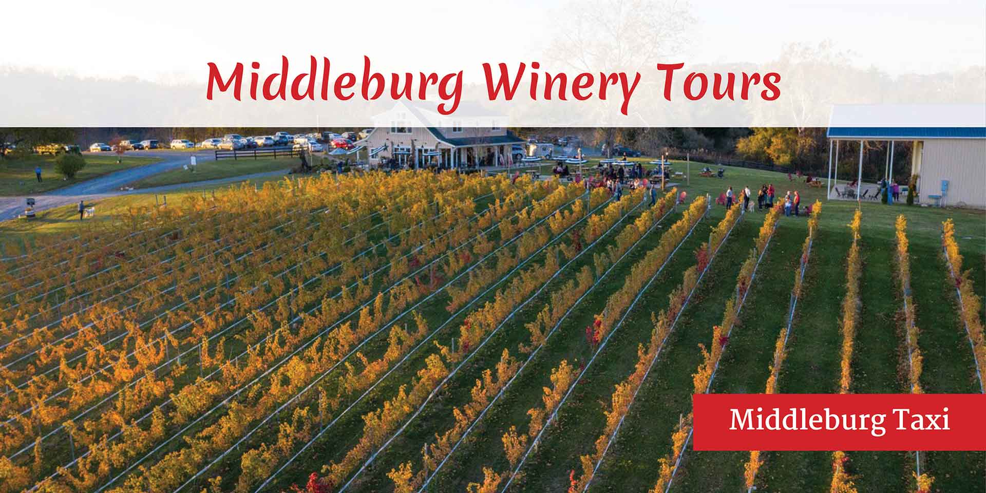 Middleburg Taxi - Winery Transportation by Middleburg Taxi